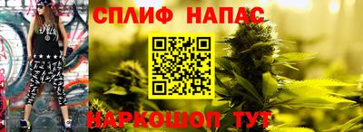 спиды Нальчик